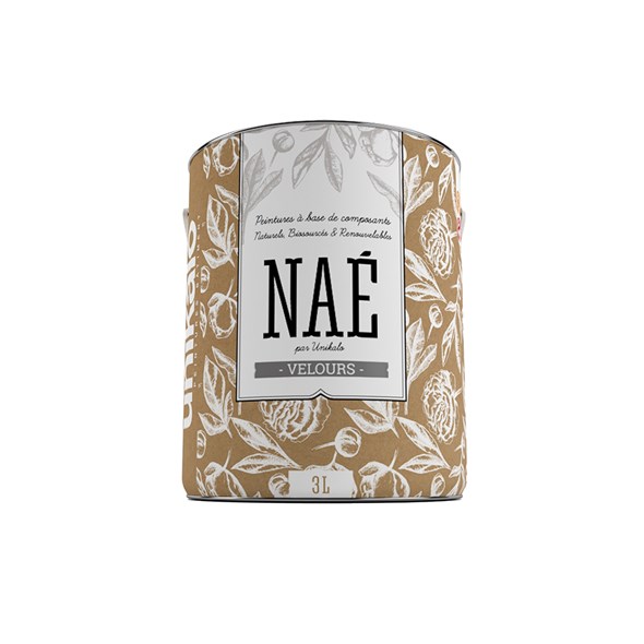peinture-nae-velours