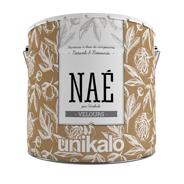peinture-nae-velours