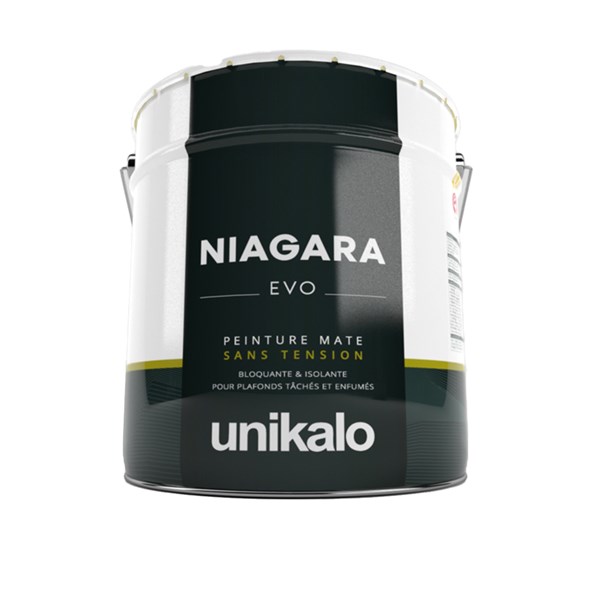 peinture-niagara-evo