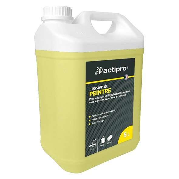 Lessive du peintre Actipro